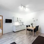 Charming Spacious Apartment In Central Prague